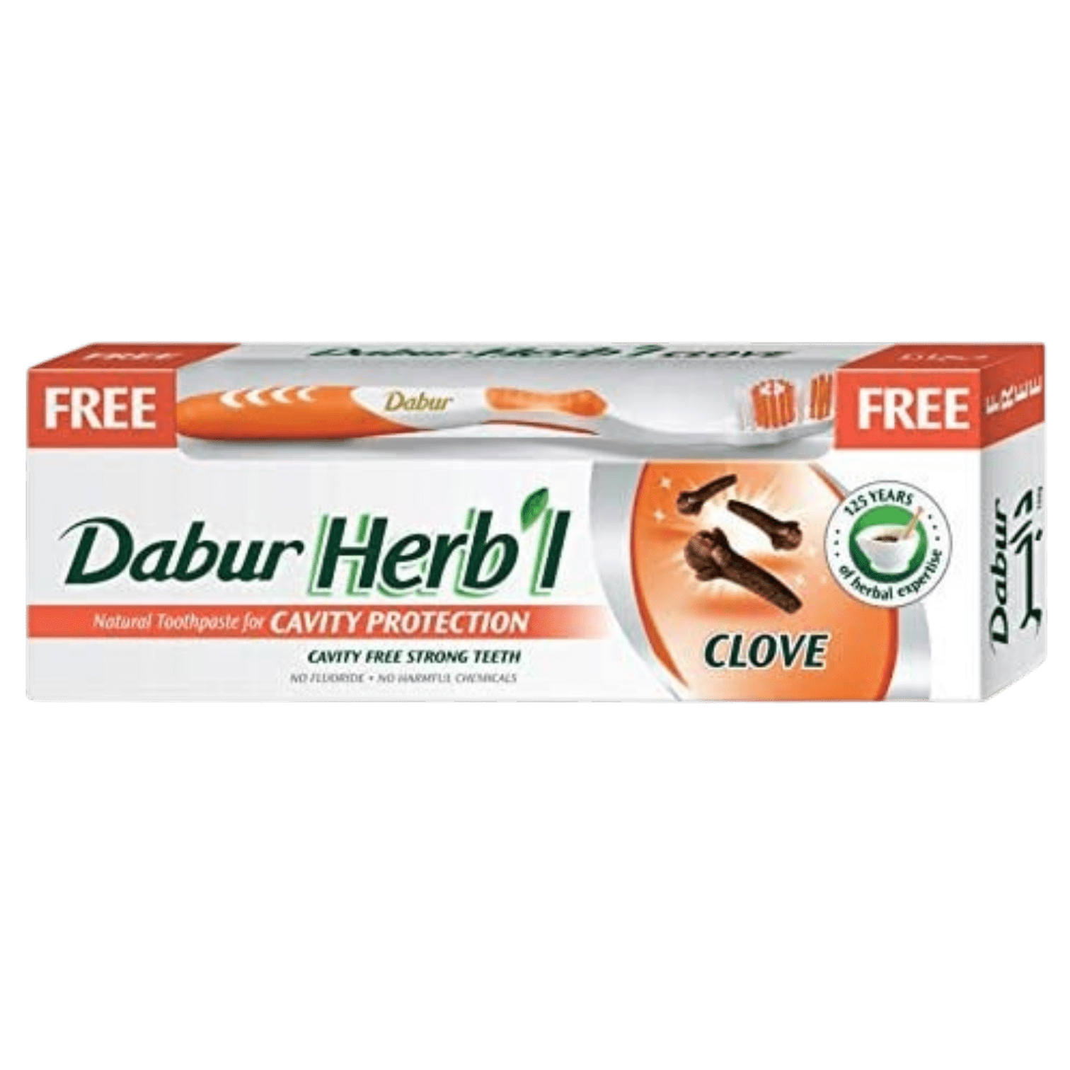 سر ستور