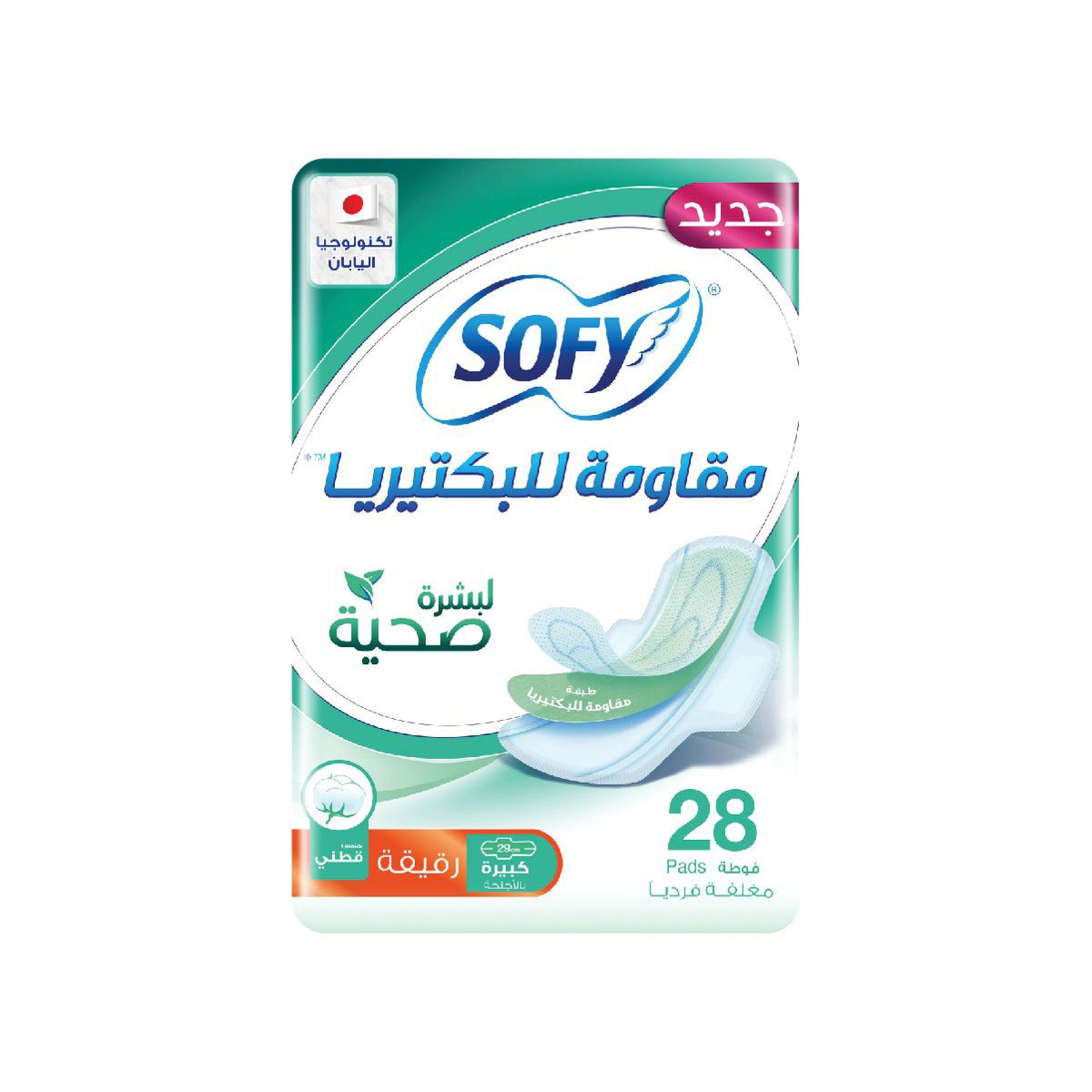 سر ستور