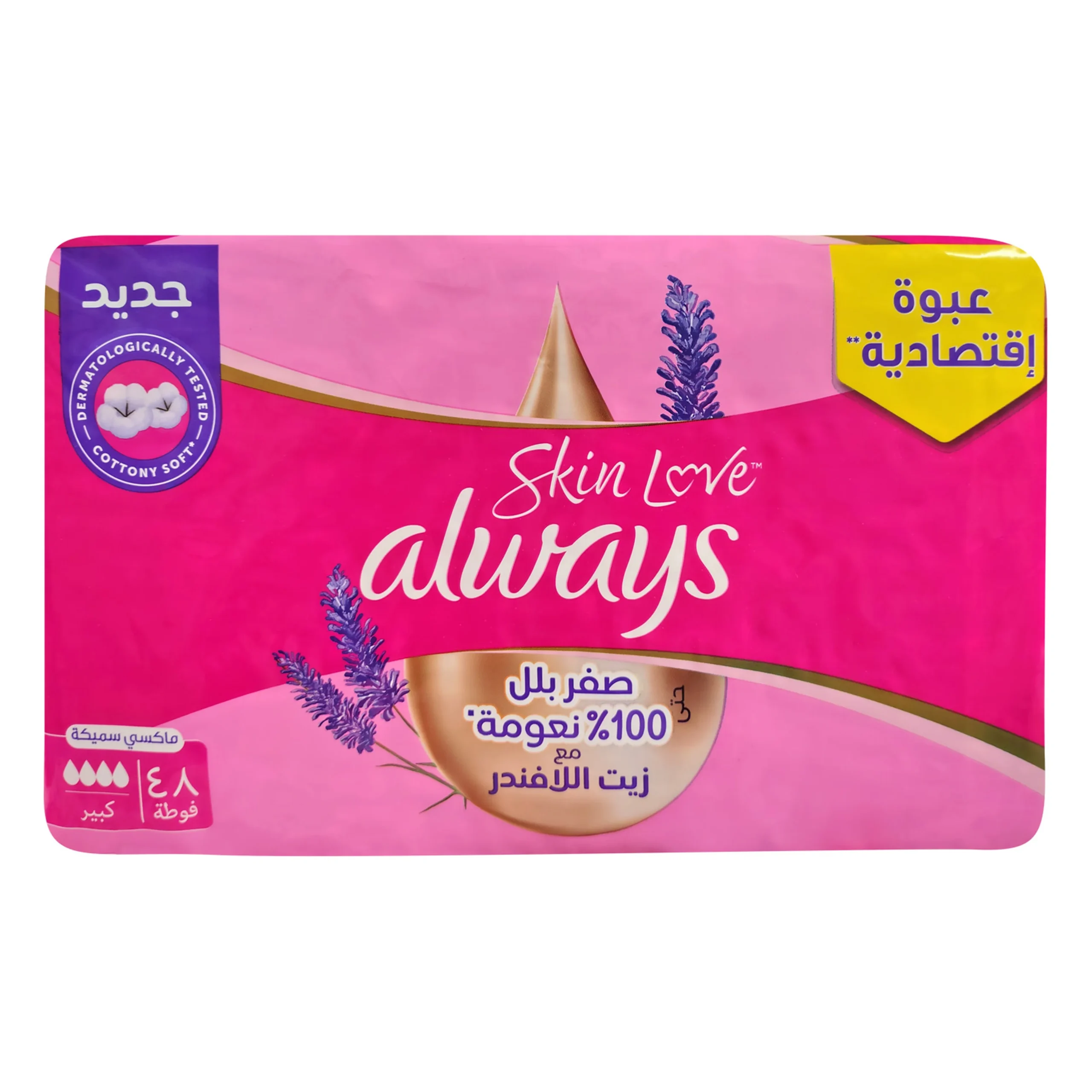 سر ستور