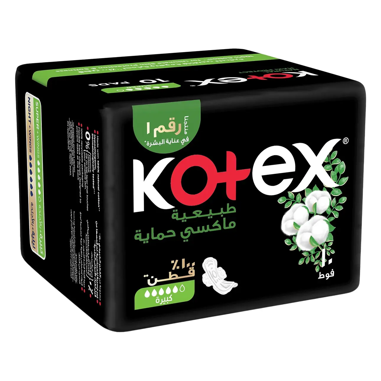 سر ستور
