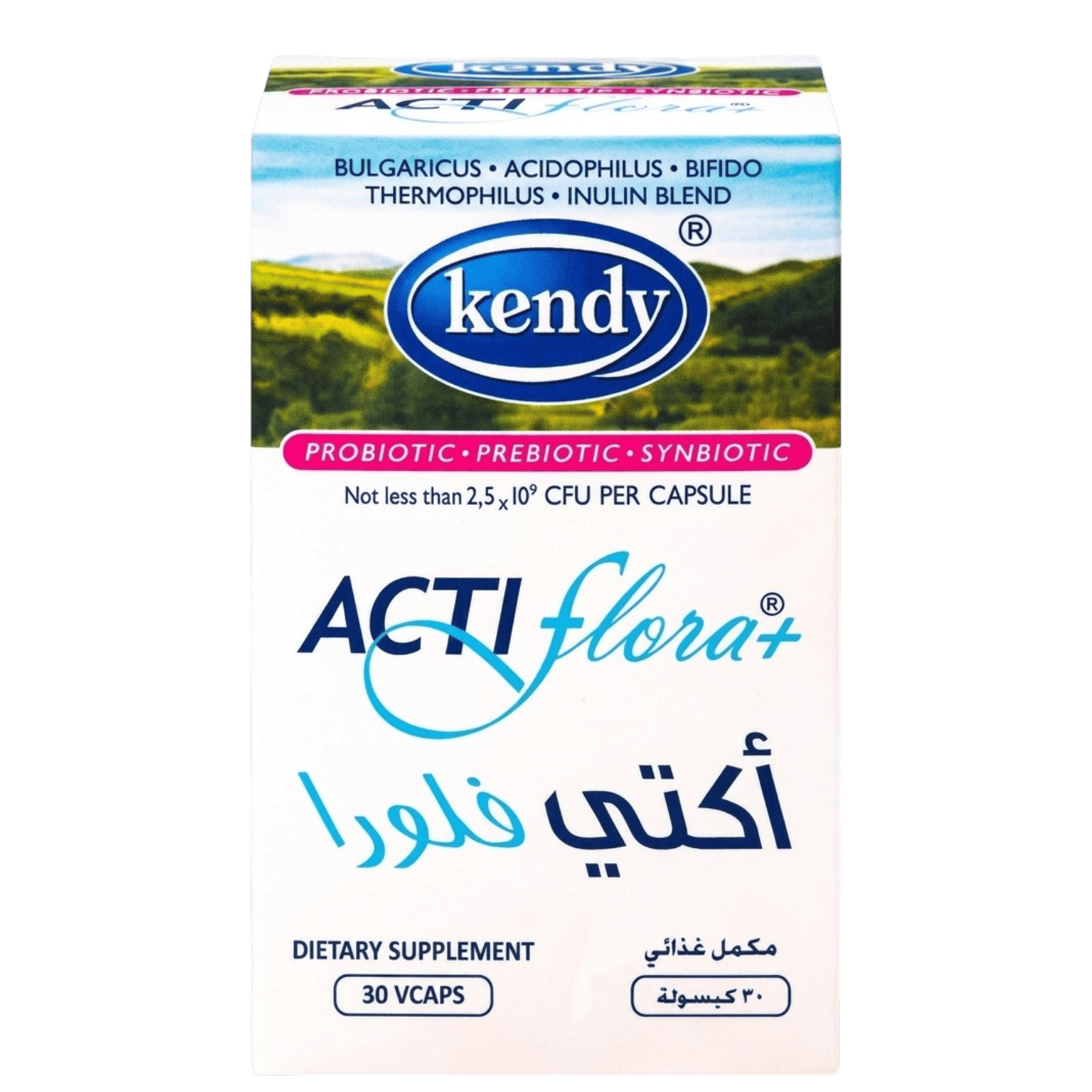 سر ستور