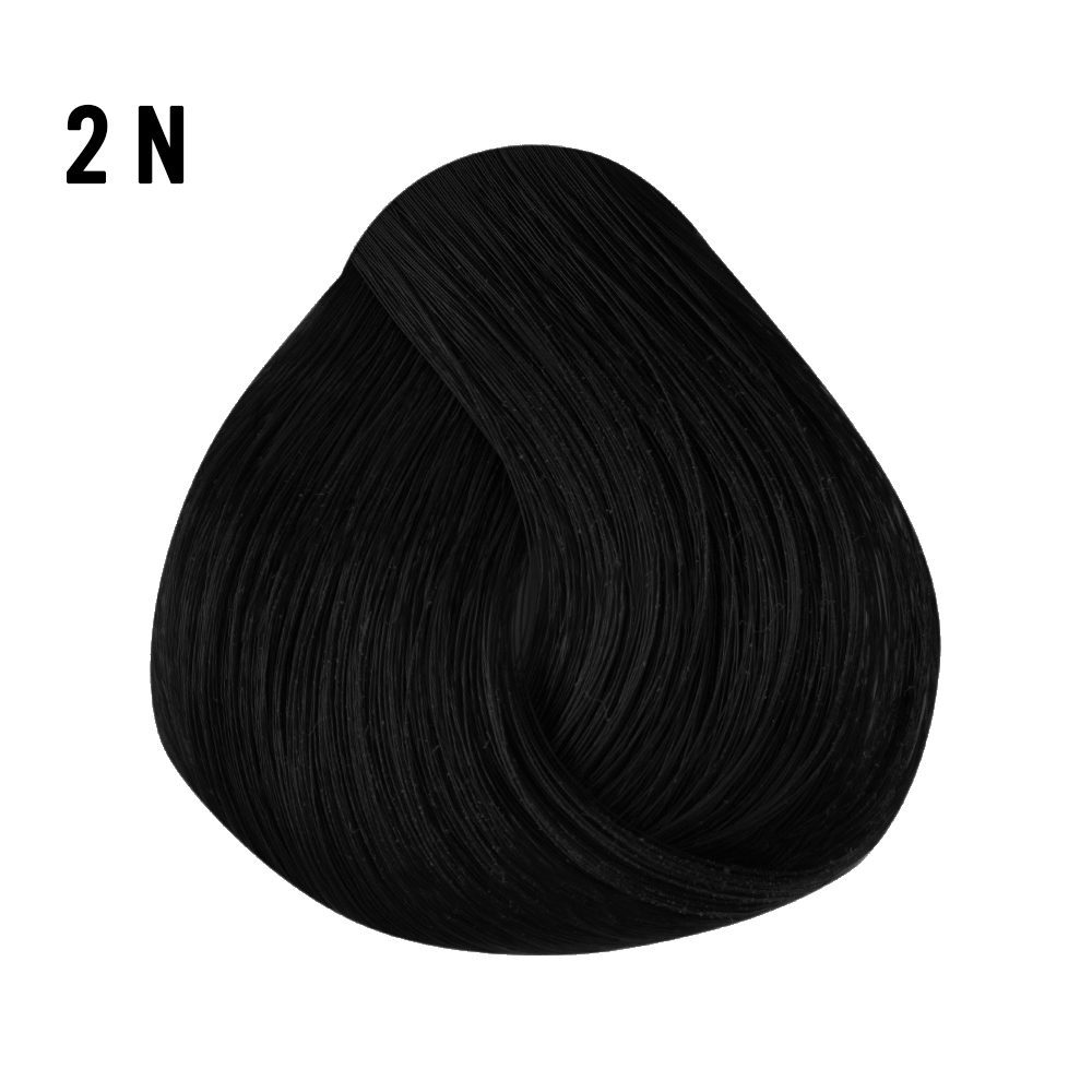 CHI IONIC COLOR 2N NATURAL BLACK - Image 2