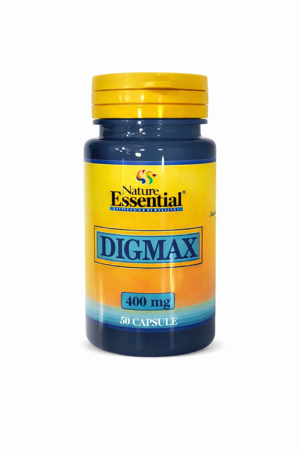 سر ستور