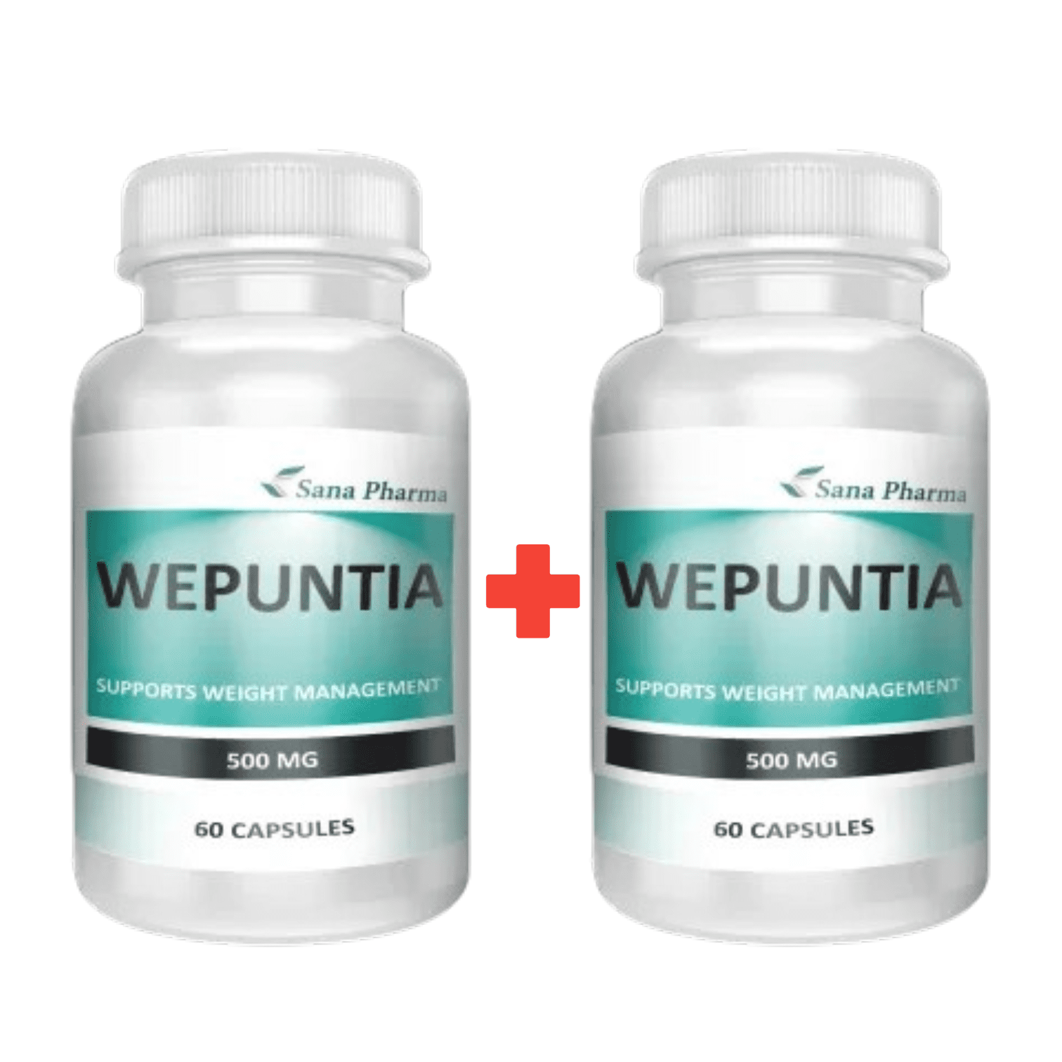 WEPUNTIA 500MG 60 CAP OFFER1+1