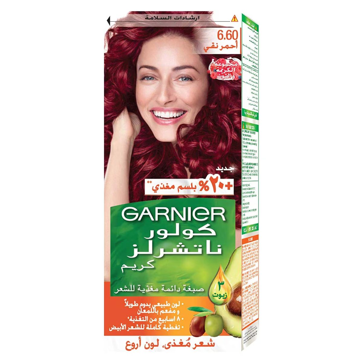 GARNIER COLOR NATURALS 6.6