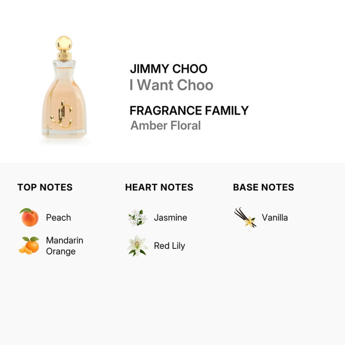 JCH I WANT CHOO EDP 100ML SPRY - Image 4